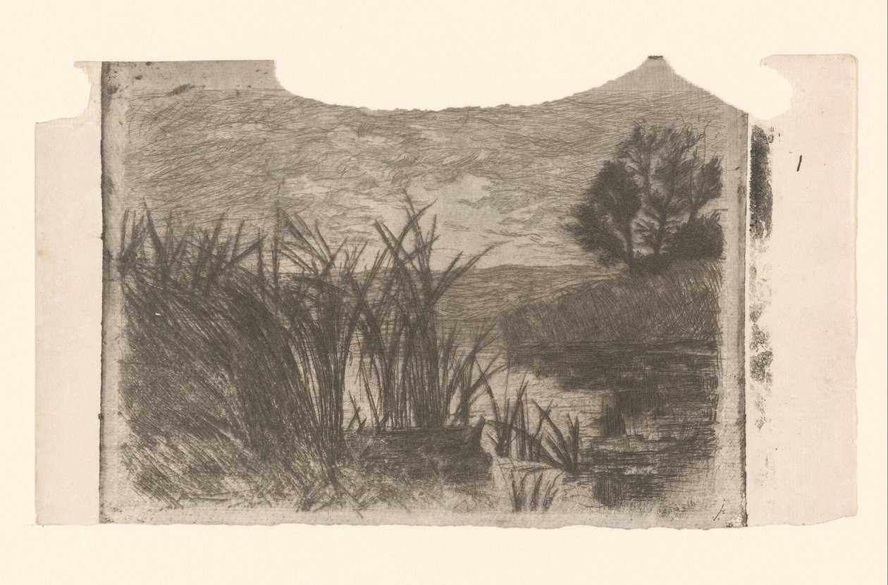 Paisagem com água, juncos e barco a remo de Jan Veth