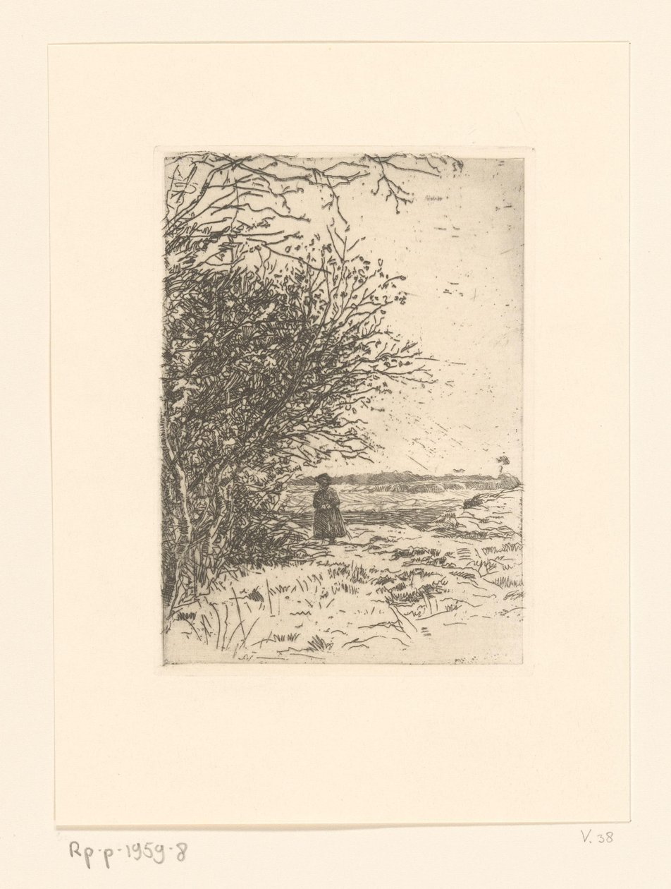 Mulher em uma paisagem Mulher na charneca (título original) de Jan Veth