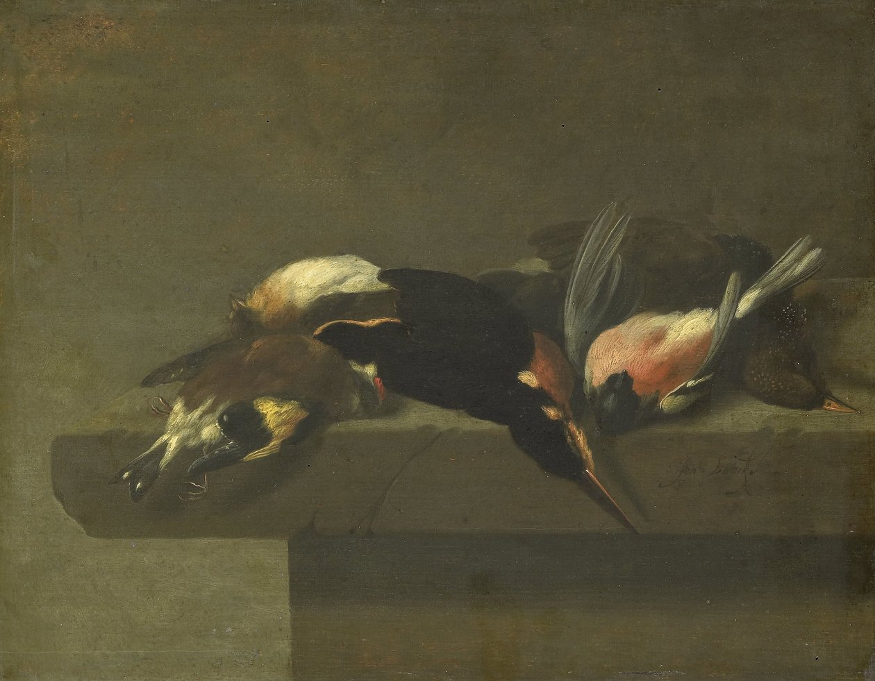 Aves mortas de Jan Vonck