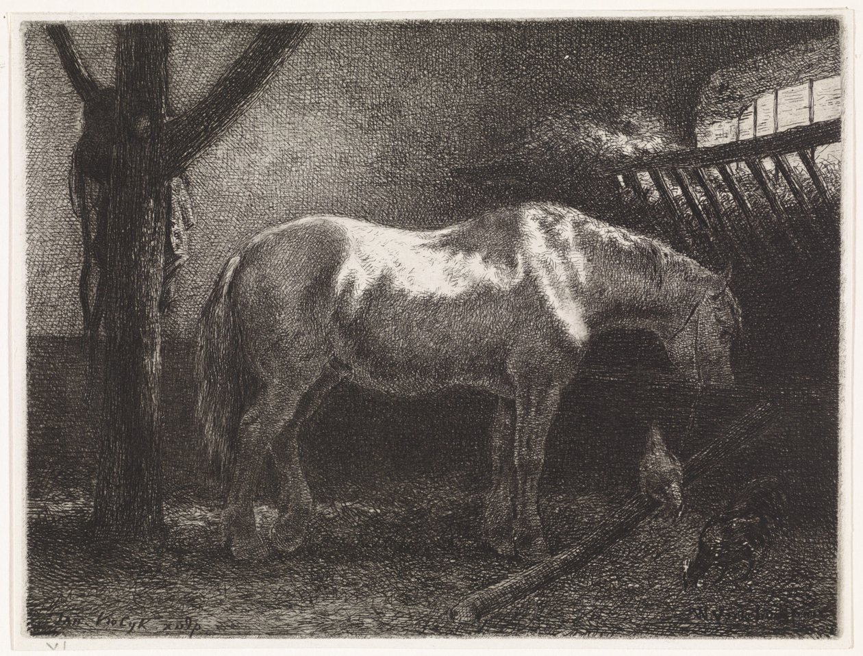 Cavalo no estábulo de Johannes Martinus Vrolijk
