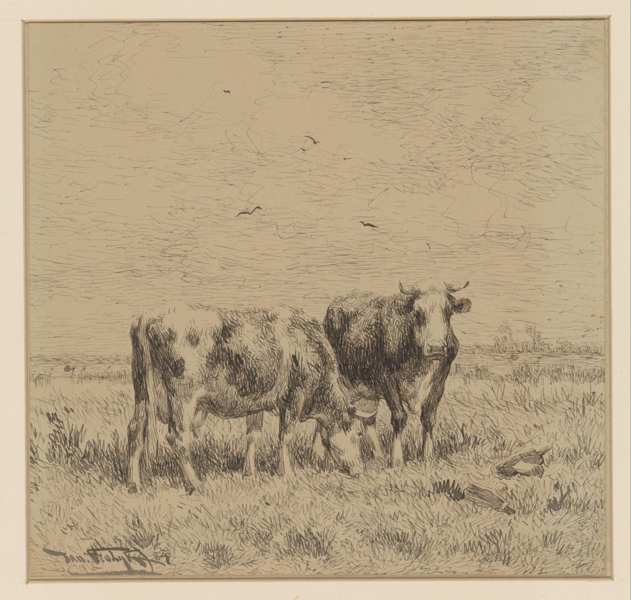 Duas vacas num prado de Johannes Martinus Vrolijk