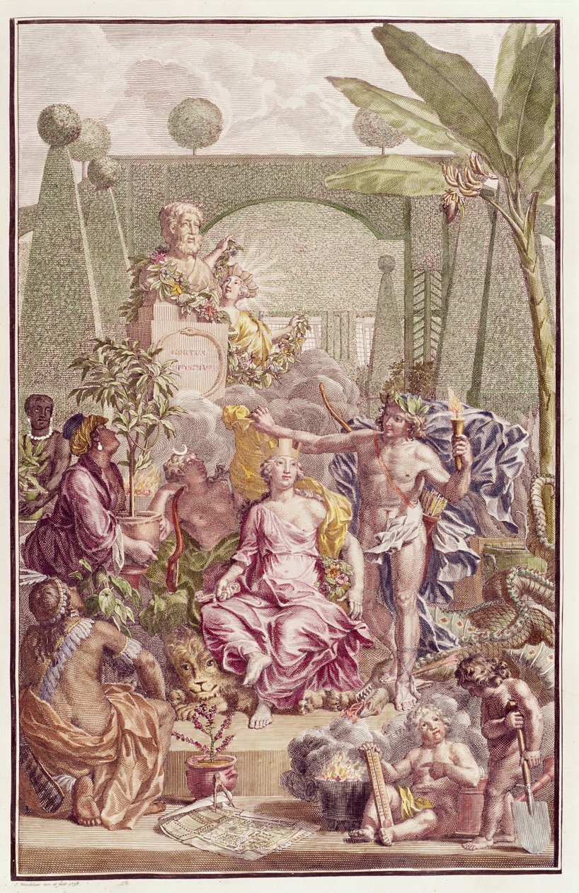 Frontispício de &39;Hortus Cliffortianus&39; por Carl Linnaeus (1707-78) de Jan Wandelaar