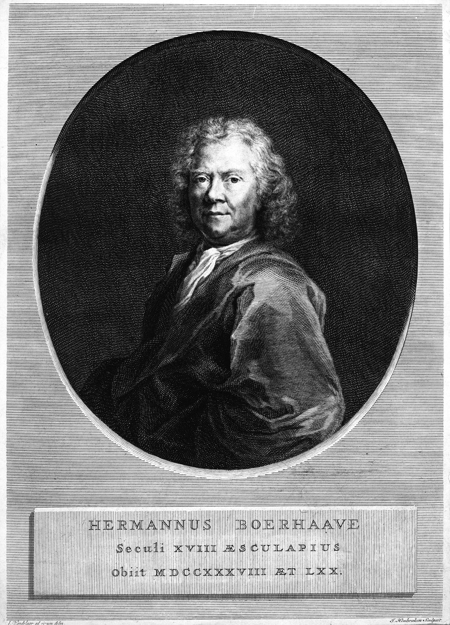 Herman Boerhaave, gravado por Jacobus Houbraken de Jan Wandelaar