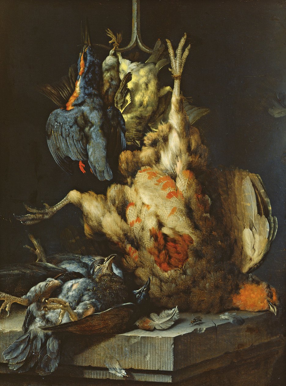 Natureza Morta (óleo sobre tela) de Jan Baptist Weenix