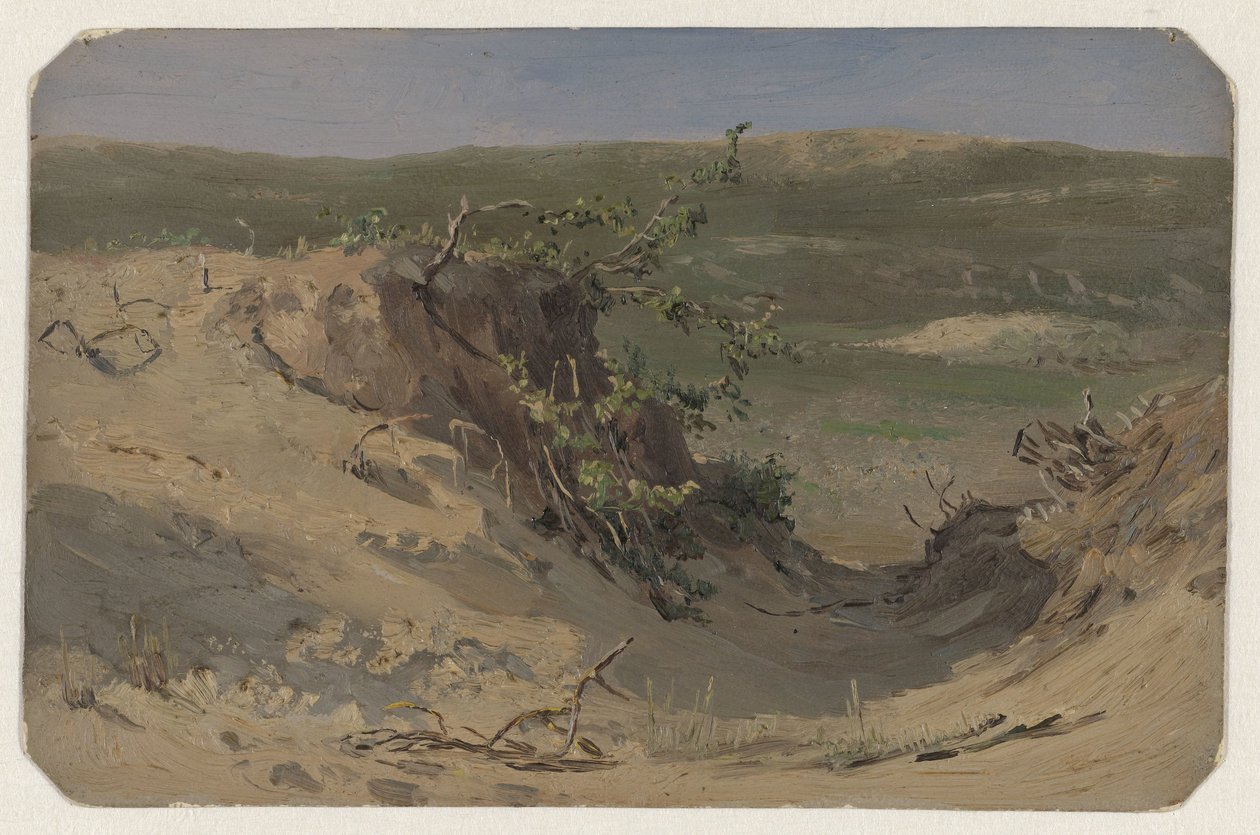 DUI Nirvana de Jan Willem van Borselen
