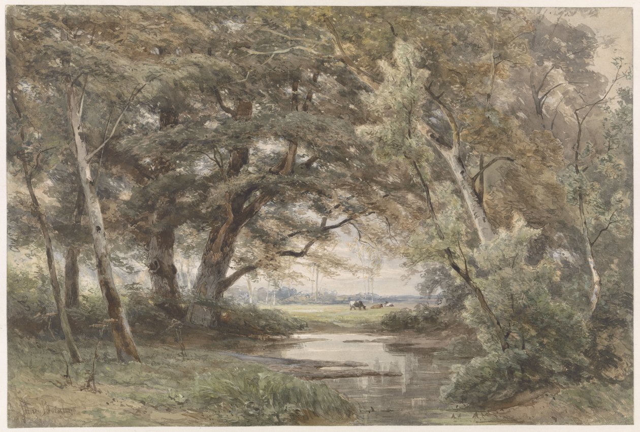 Água sob as árvores no fim de uma floresta de Jan Willem van Borselen