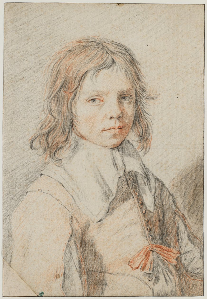 Retrato de um rapaz de Jan de Bray