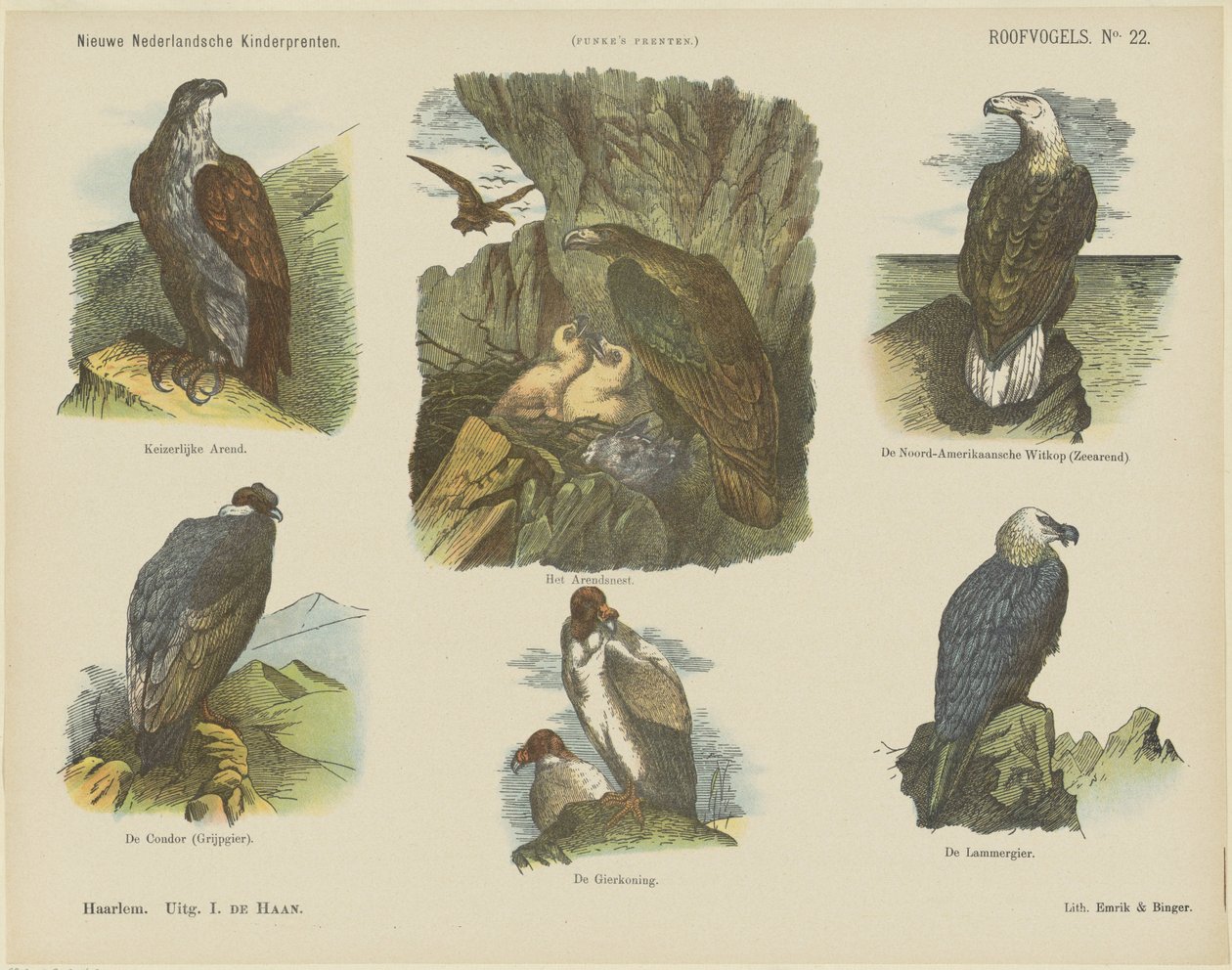 Aves de rapina (título sobre o objecto)
Novas impressões para crianças holandesas (título da série sobre o objecto)
Impressões de Funke (título da série sobre o objecto) de Jan de Haan