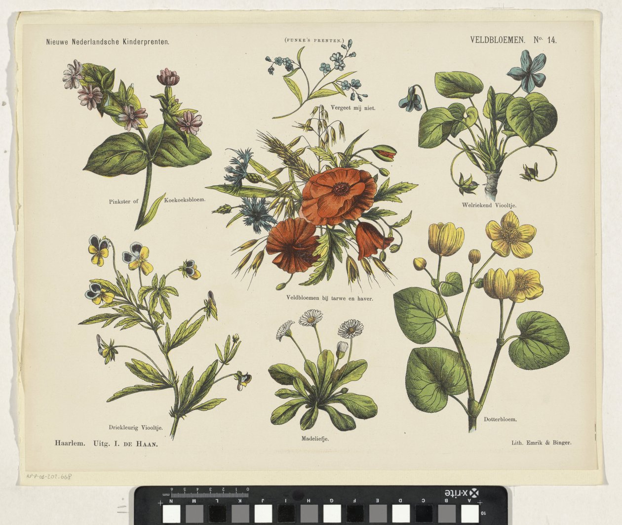 Flores de campo (título no objecto)
Novas impressões para crianças holandesas (título da série sobre o objecto)
Impressões de Funke (título da série sobre o objecto) de Jan de Haan