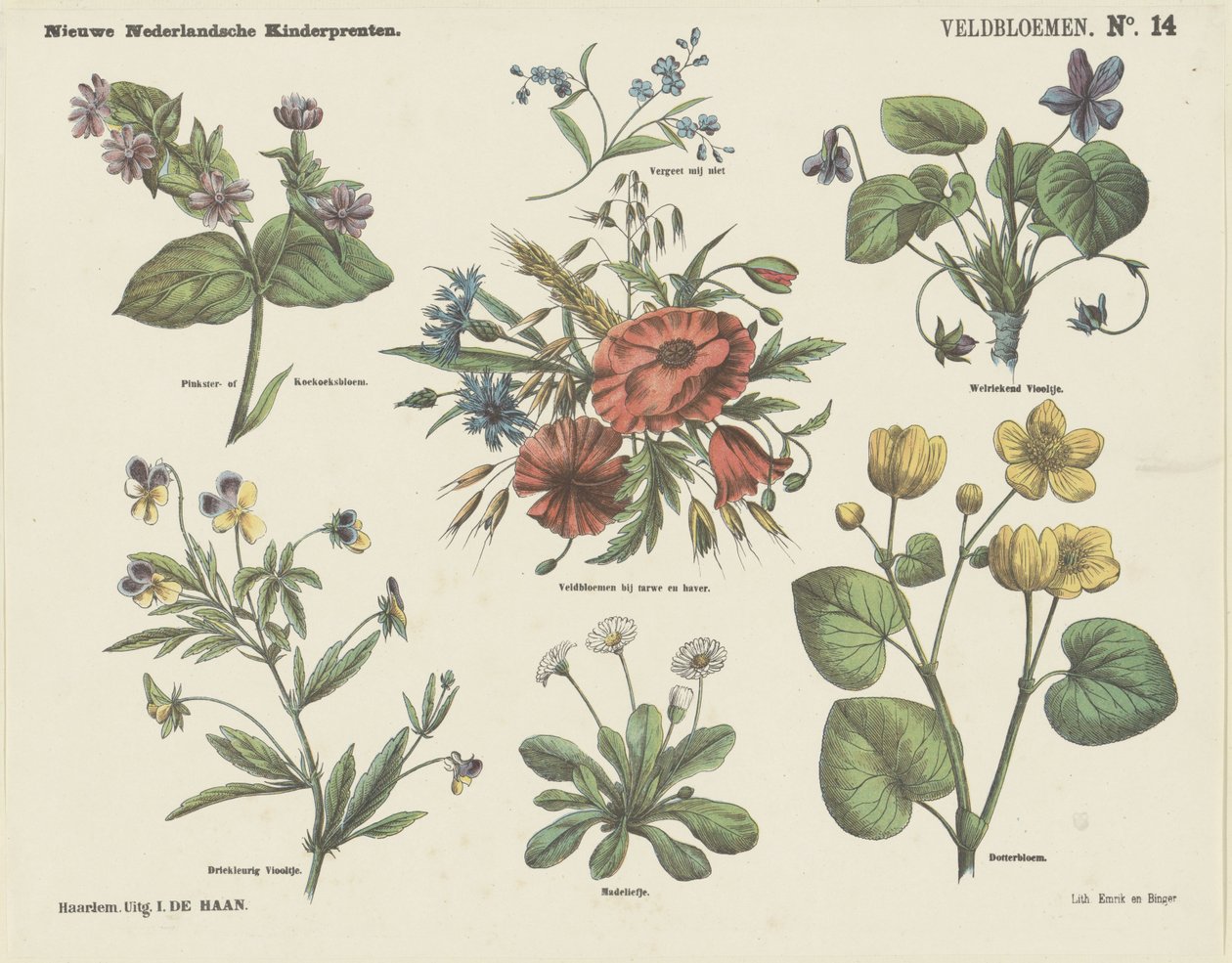 Flores de campo (título no objecto)
Novas impressões para crianças holandesas (título da série sobre o objecto) de Jan de Haan