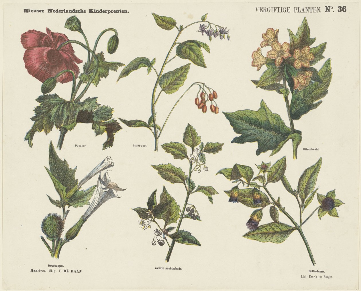 Plantas venenosas (título sobre o objecto)
Novas impressões para crianças holandesas (título da série sobre o objecto) de Jan de Haan