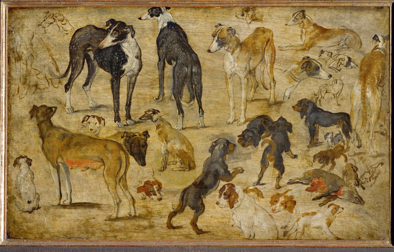 Estudos de animais (pintura sobre madeira de carvalho) de Jan the Elder Brueghel