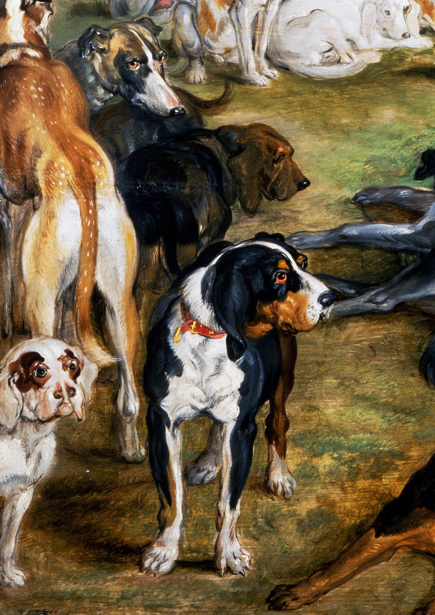 Cães, detalhe de Diana e Ninfas no ponto de partida de Jan the Elder Brueghel