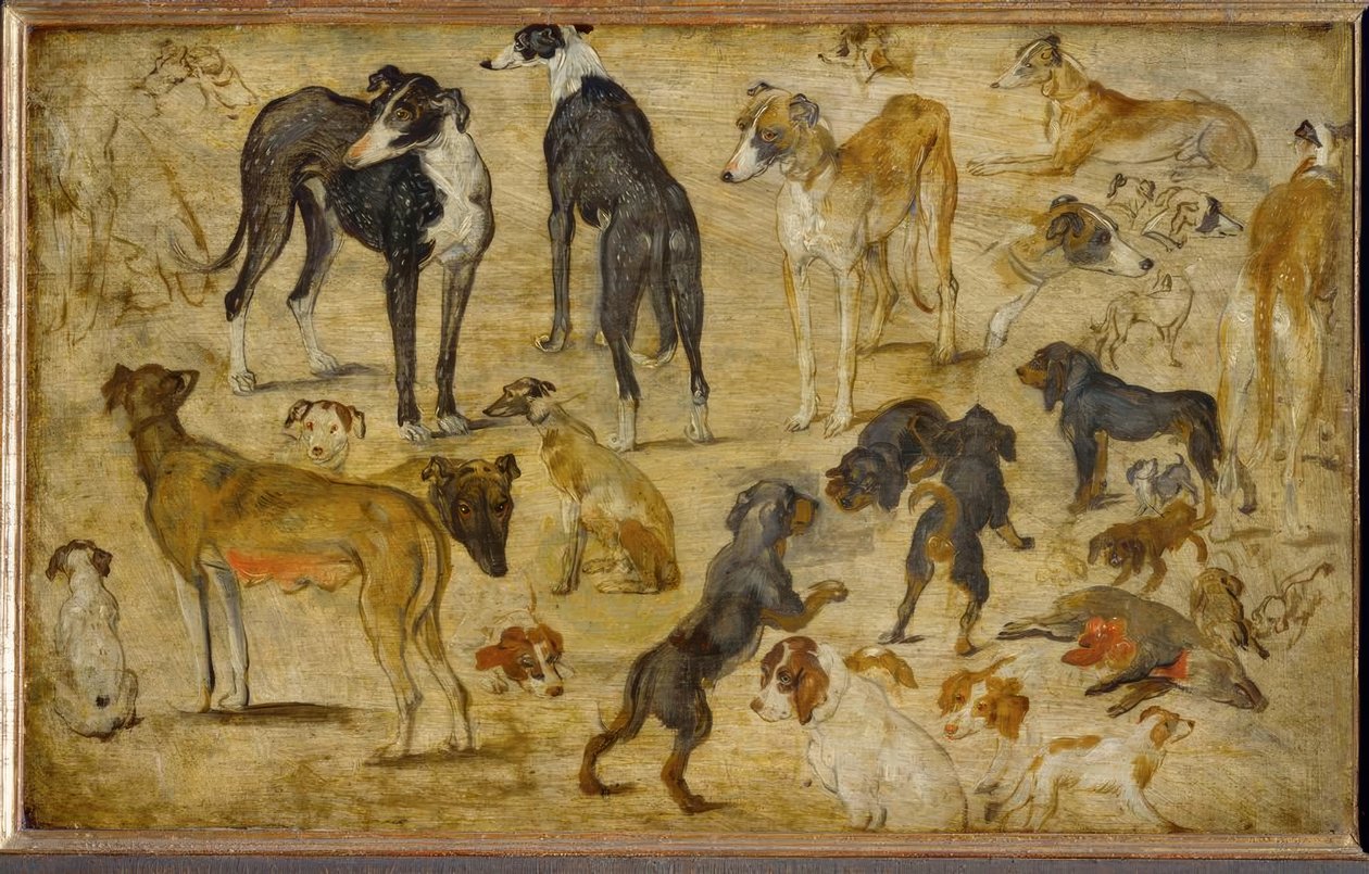 estudos com animais de Jan the Elder Brueghel