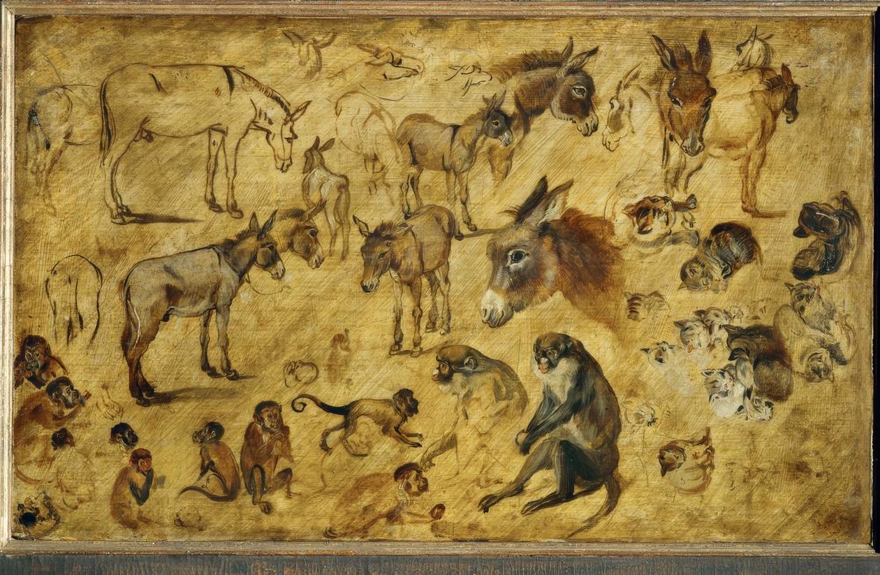 estudos com animais de Jan the Elder Brueghel