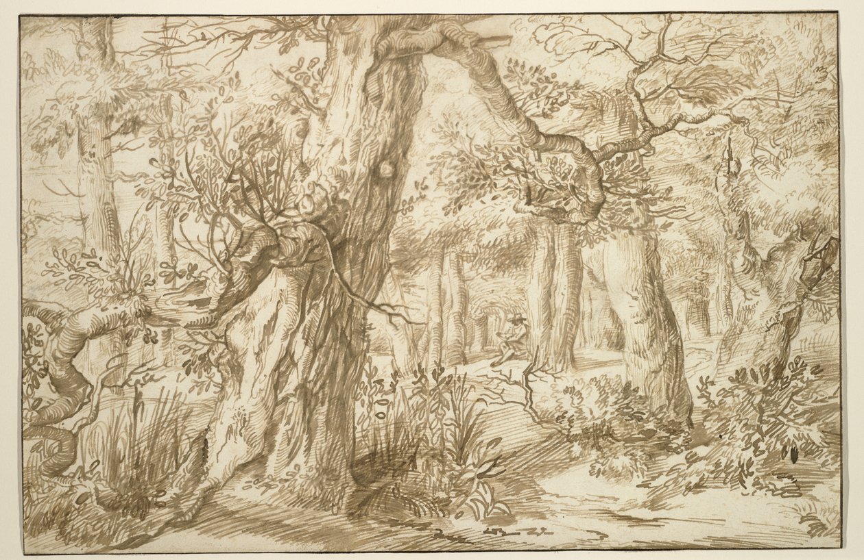 Forest Interior com desenhista, c.1664 (tinta marrom sobre papel antigo) de Jan the Elder Lievens