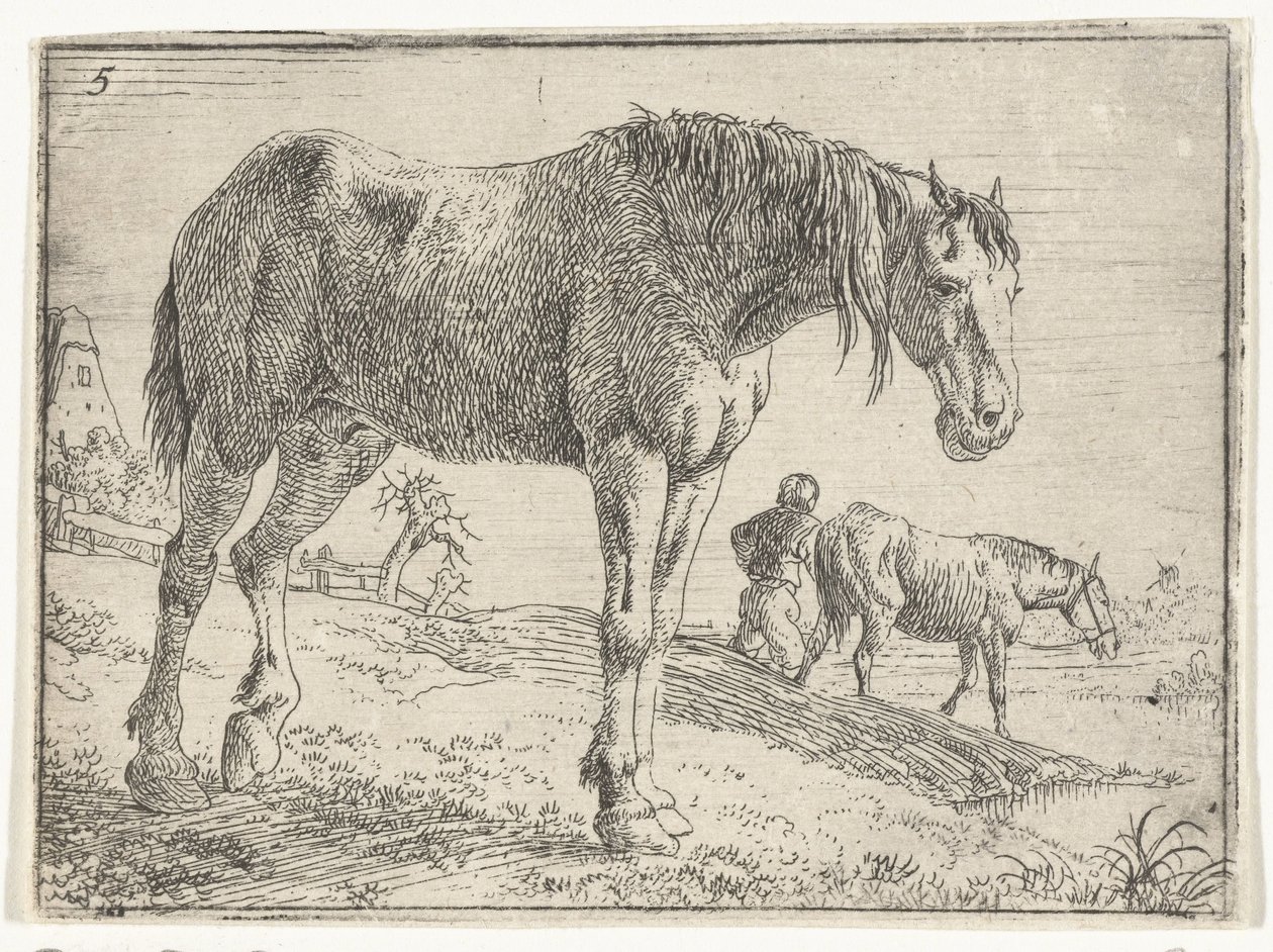 Cavalo em pé
Paisagens com cavalos (título da série) de Jan van Aken