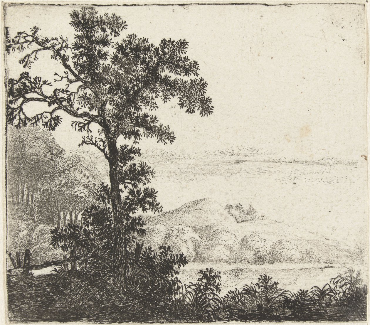 Paisagem com árvore perto da margem de um rio de Jan van Brosterhuyzen