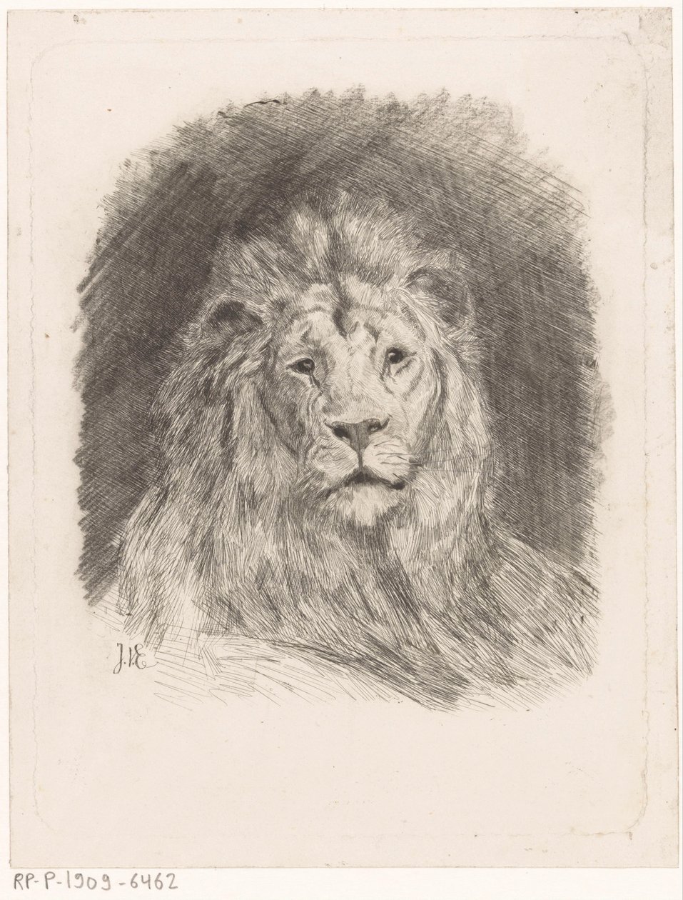Cabeça de leão de Jan van Essen