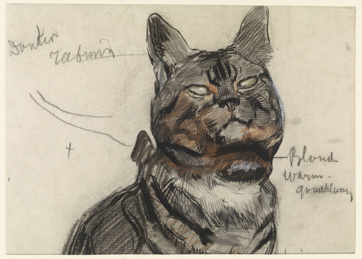 Gato, com notas de cor de Jan van Essen