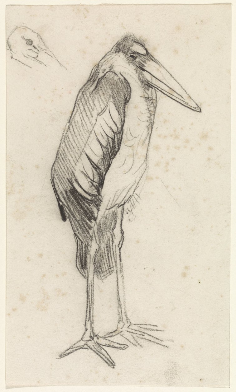 Maraboe de Jan van Essen