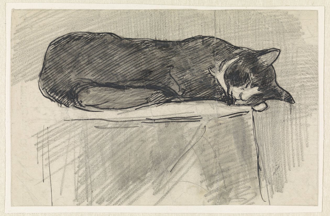 gato dormindo de Jan van Essen