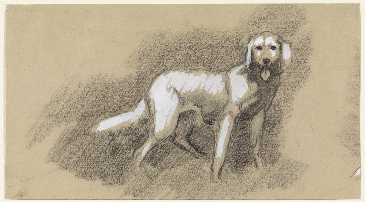 Cão de pé de Jan van Essen