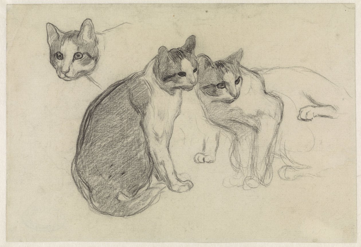 Folha de estudo com gatos de Jan van Essen