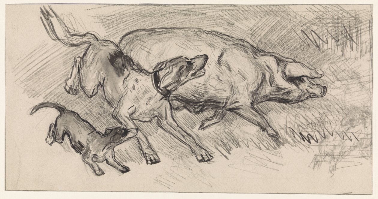 Dois cães a perseguir um porco de Jan van Essen