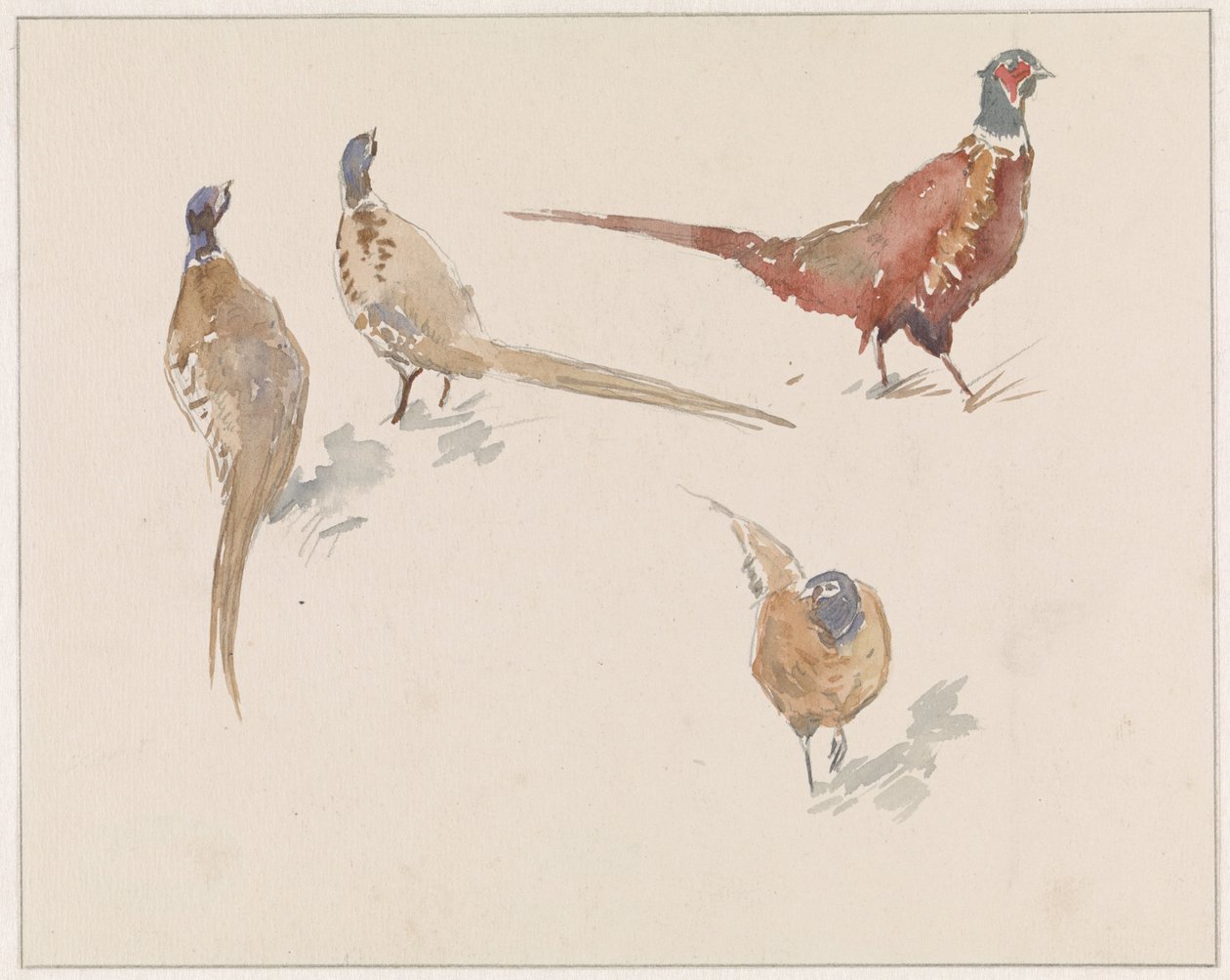 Quatro faisões de Jan van Essen