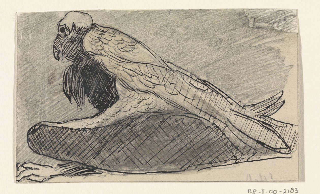 Abutre sentado de Jan van Essen