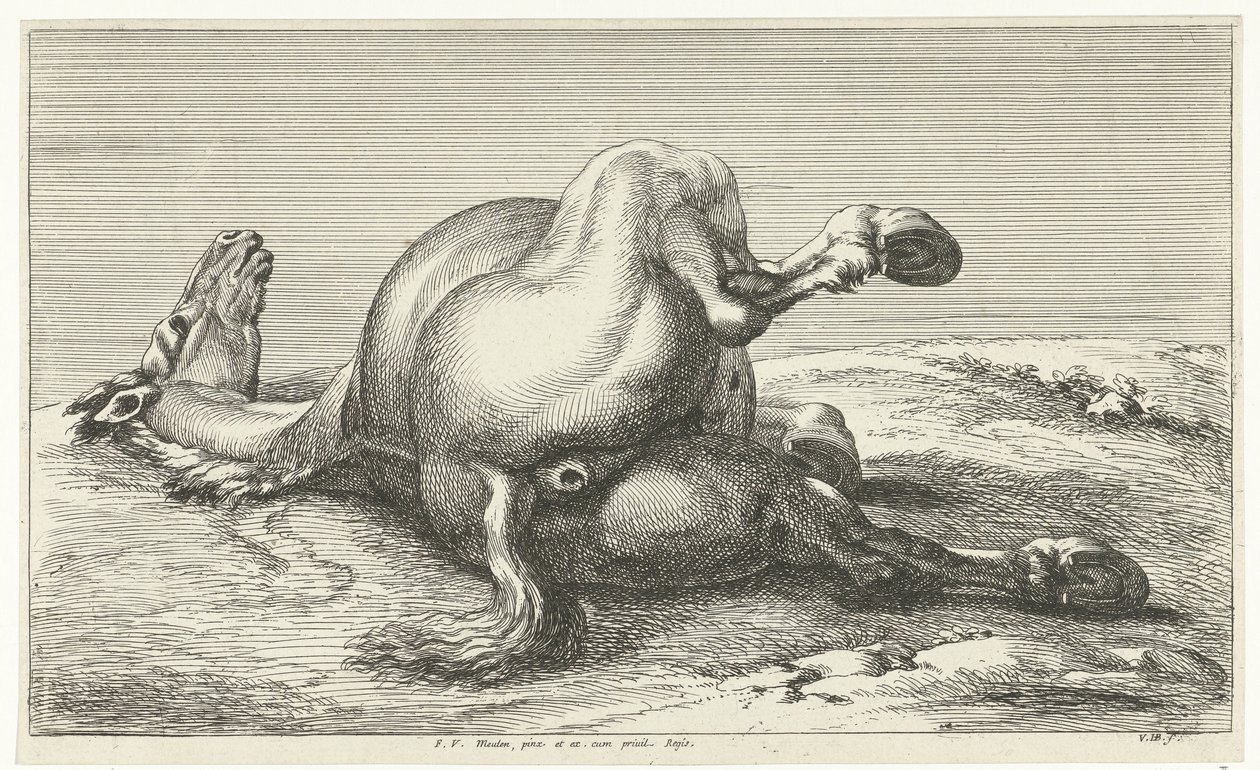 cavalo caído Cavalos Mortos (título da série) de Jan van Huchtenburg