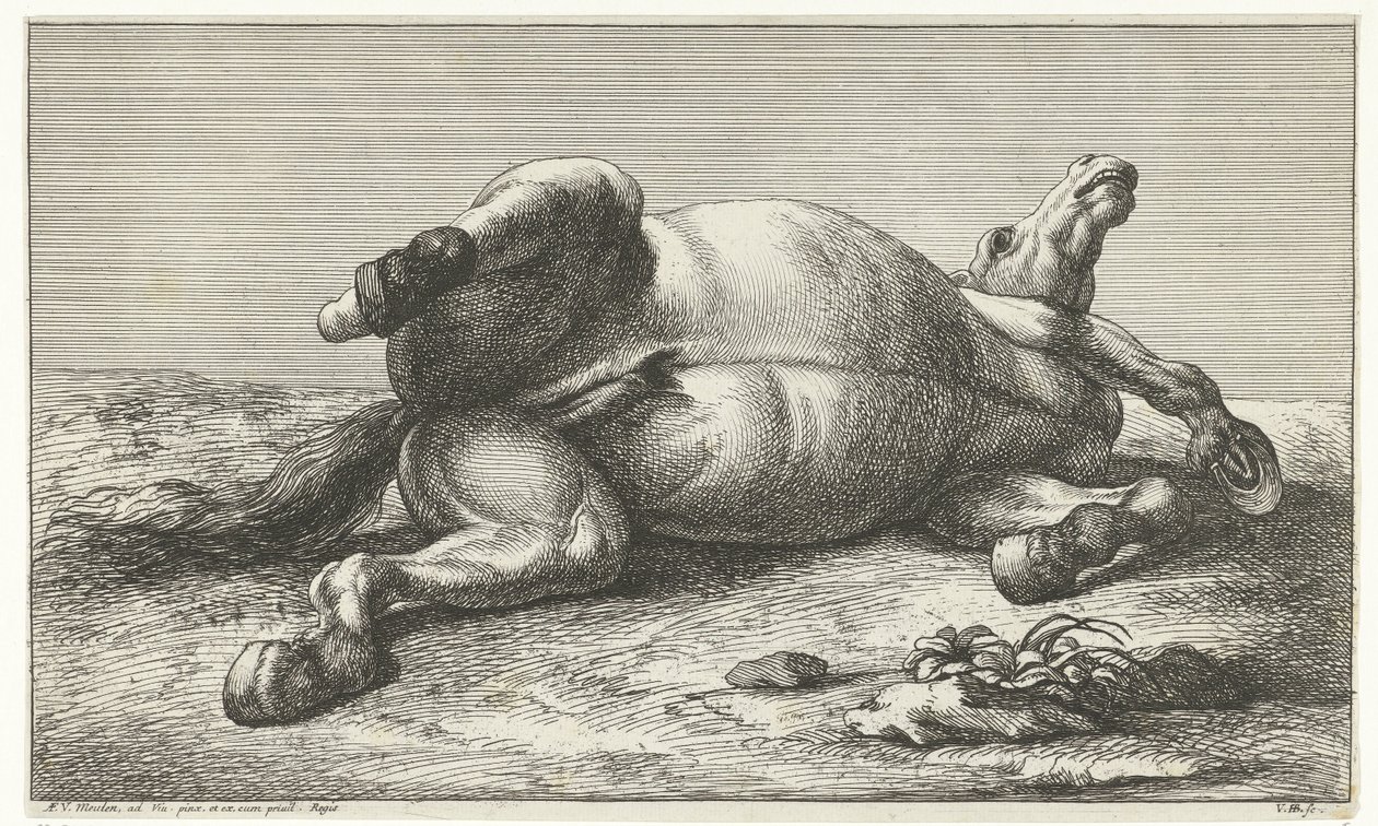 Cavalo morto deitado no seu lado esquerdo
Cavalos mortos (título da série) de Jan van Huchtenburg