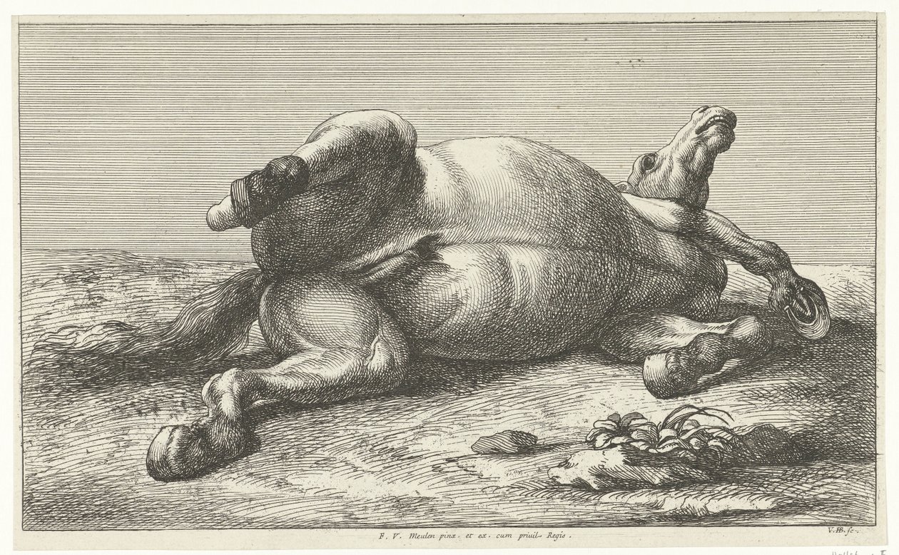 Cavalo morto deitado no seu lado esquerdo
Cavalos mortos (título da série) de Jan van Huchtenburg