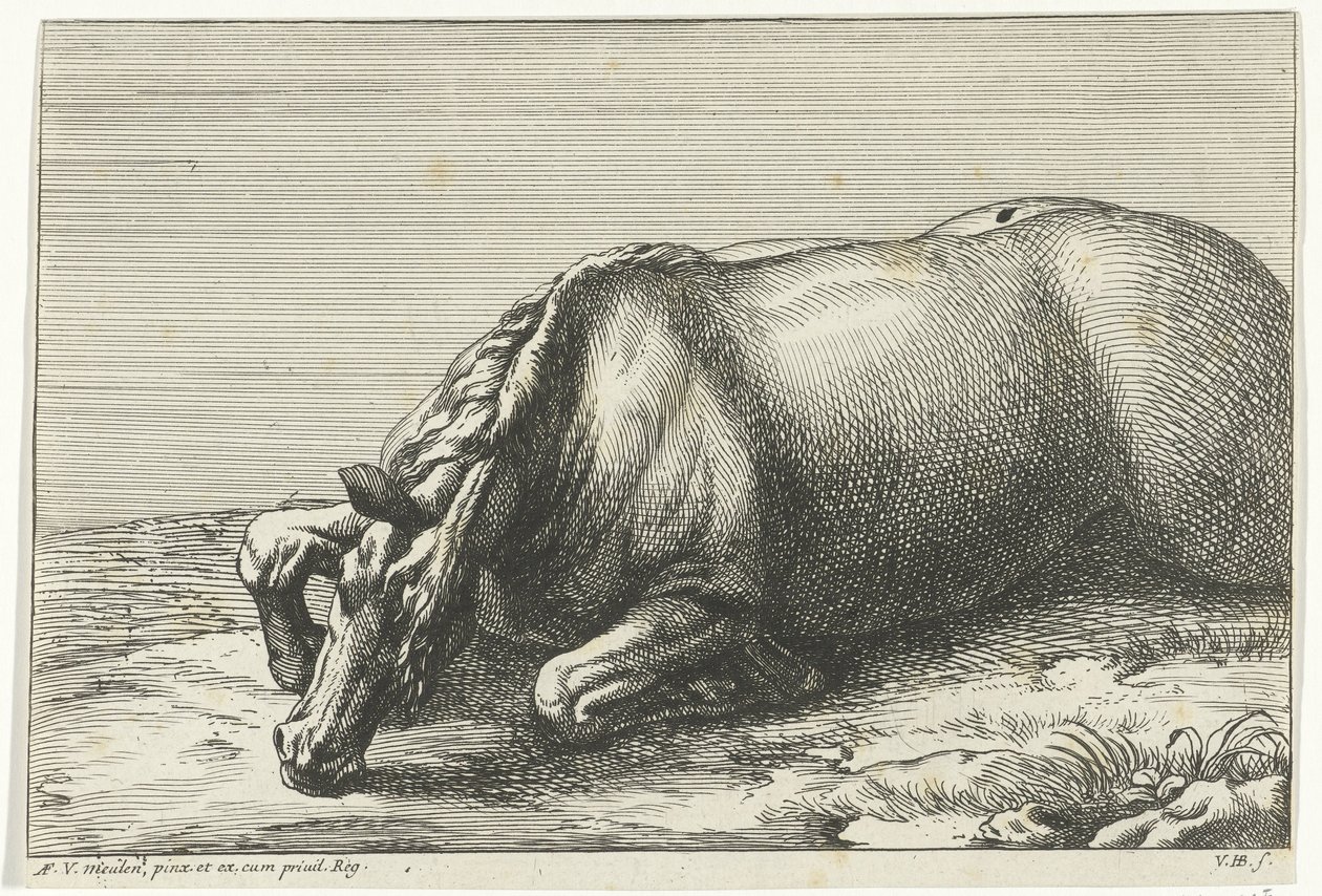 Cavalo morto visto do lado esquerdo Cavalos Mortos (título da série) de Jan van Huchtenburg