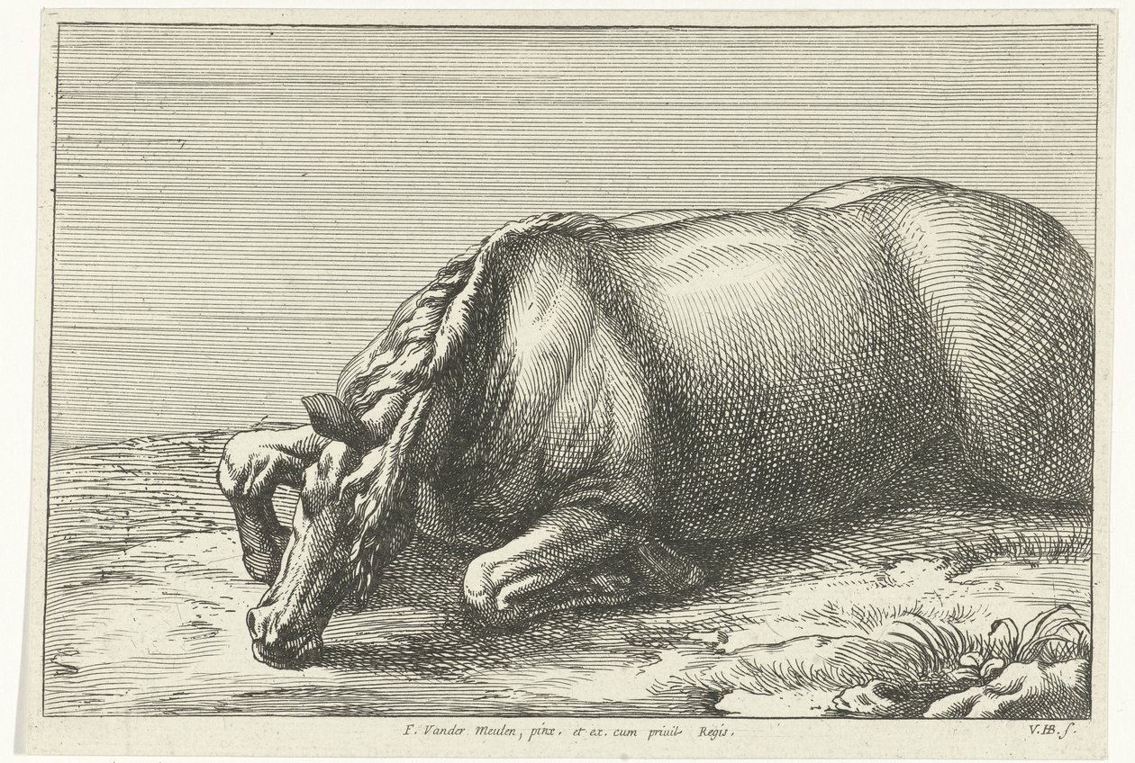 Cavalo morto visto do lado esquerdo
Cavalos mortos (título da série) de Jan van Huchtenburg