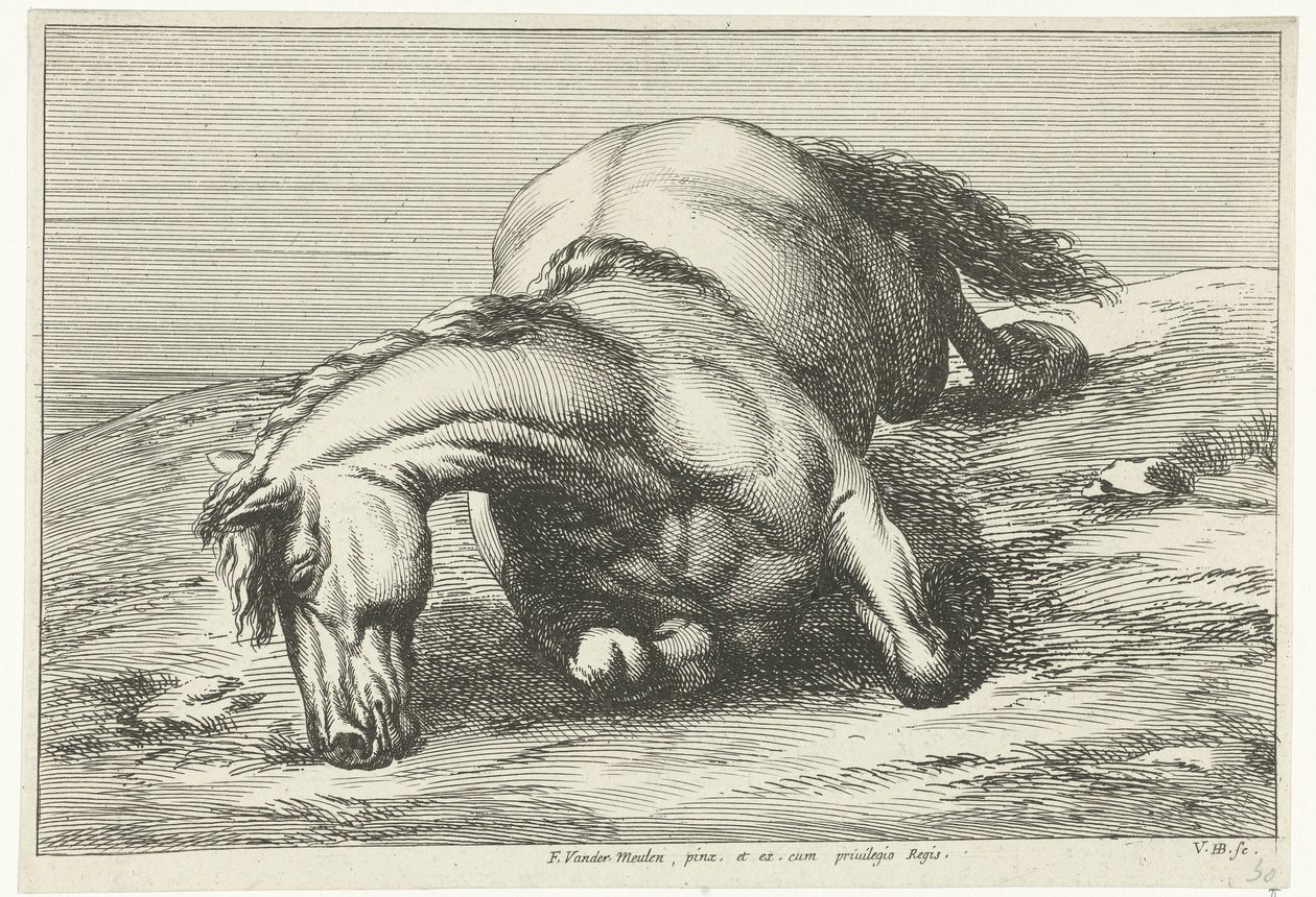 Cavalo morto deitado do lado direito Cavalos Mortos (título da série) de Jan van Huchtenburg