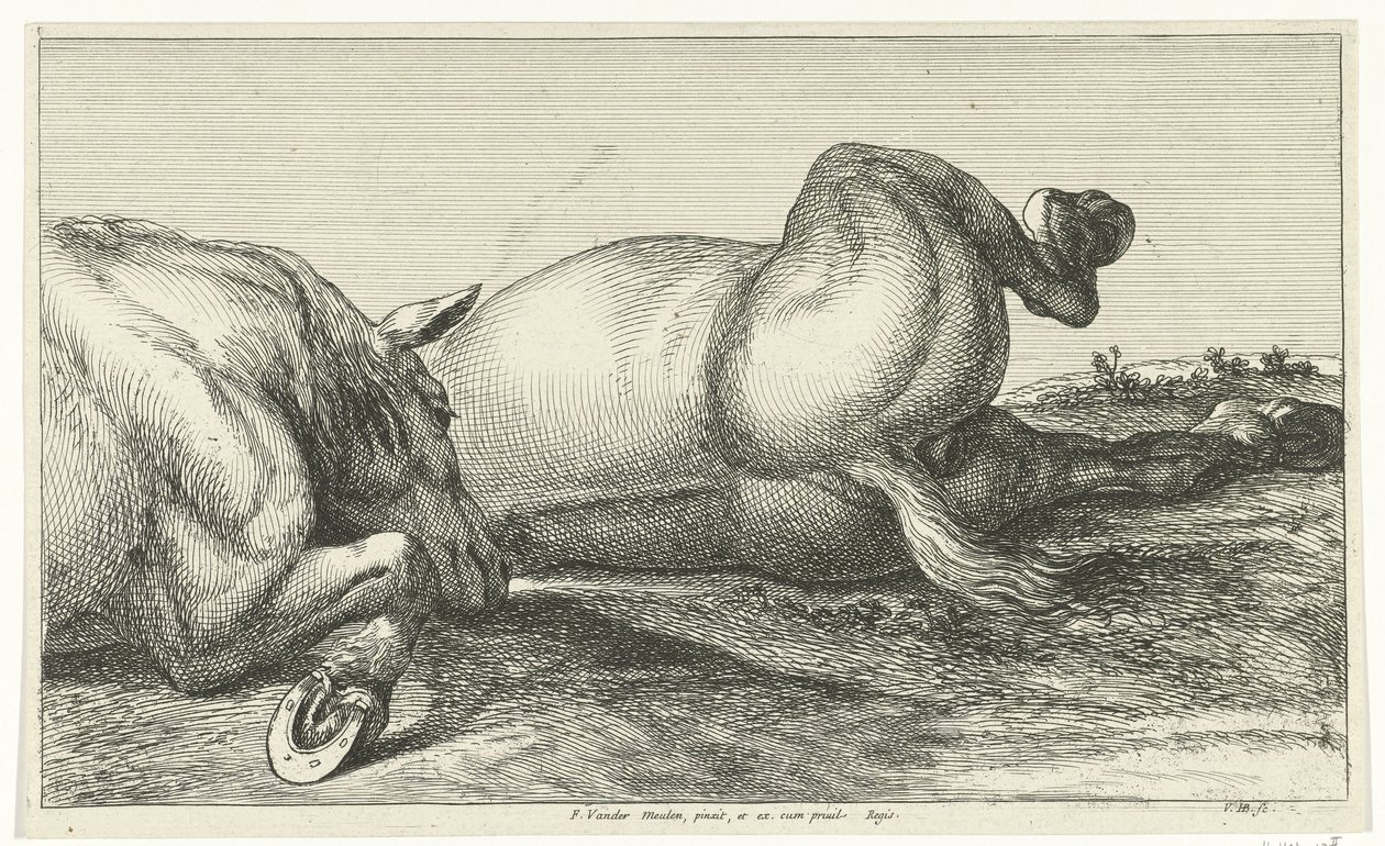 Dois cavalos mortos atrás um do outro Cavalos Mortos (título da série) de Jan van Huchtenburg