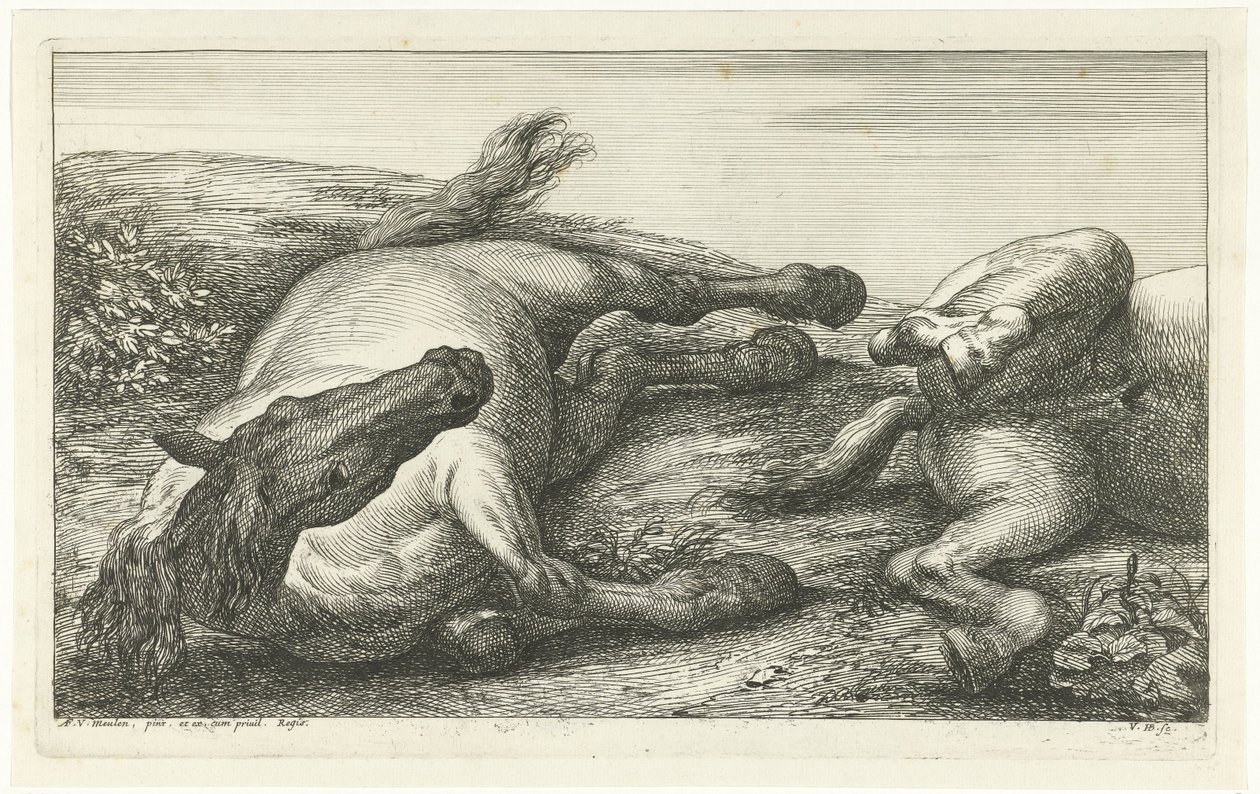 Dois cavalos caídos, o esquerdo visto de frente Cavalos Mortos (título da série) de Jan van Huchtenburg