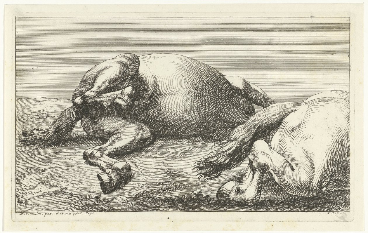 Dois cavalos caídos, com o direito visto de lado
Cavalos mortos (título da série) de Jan van Huchtenburg