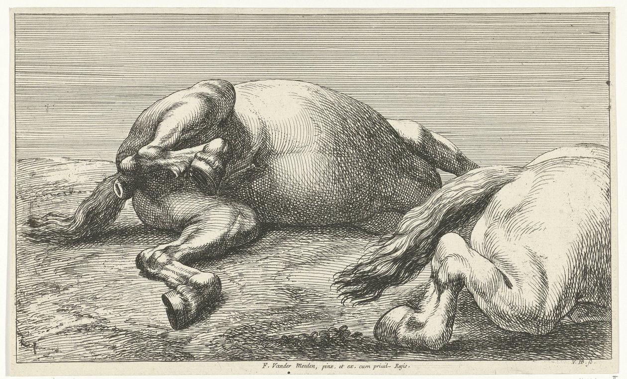 Dois cavalos caídos, o direito visto de lado Cavalos Mortos (título da série) de Jan van Huchtenburg