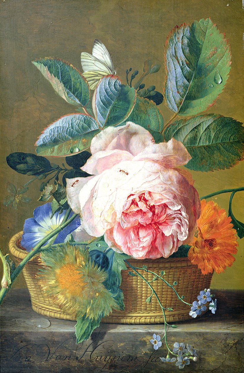 Uma cesta com flores, 1740-45 de Jan van Huysum