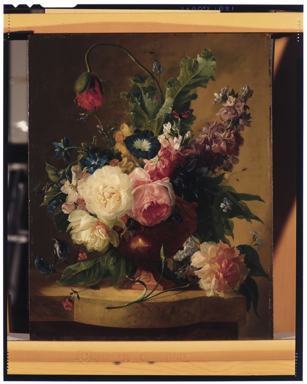 Ainda-vida da flor de Jan van Huysum
