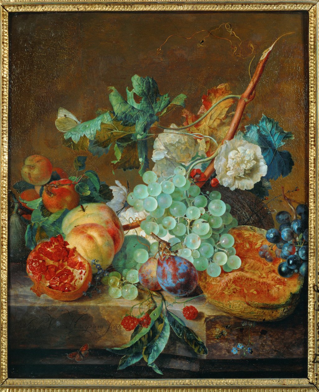 Flores e frutos (pintura sobre tela) de Jan van Huysum