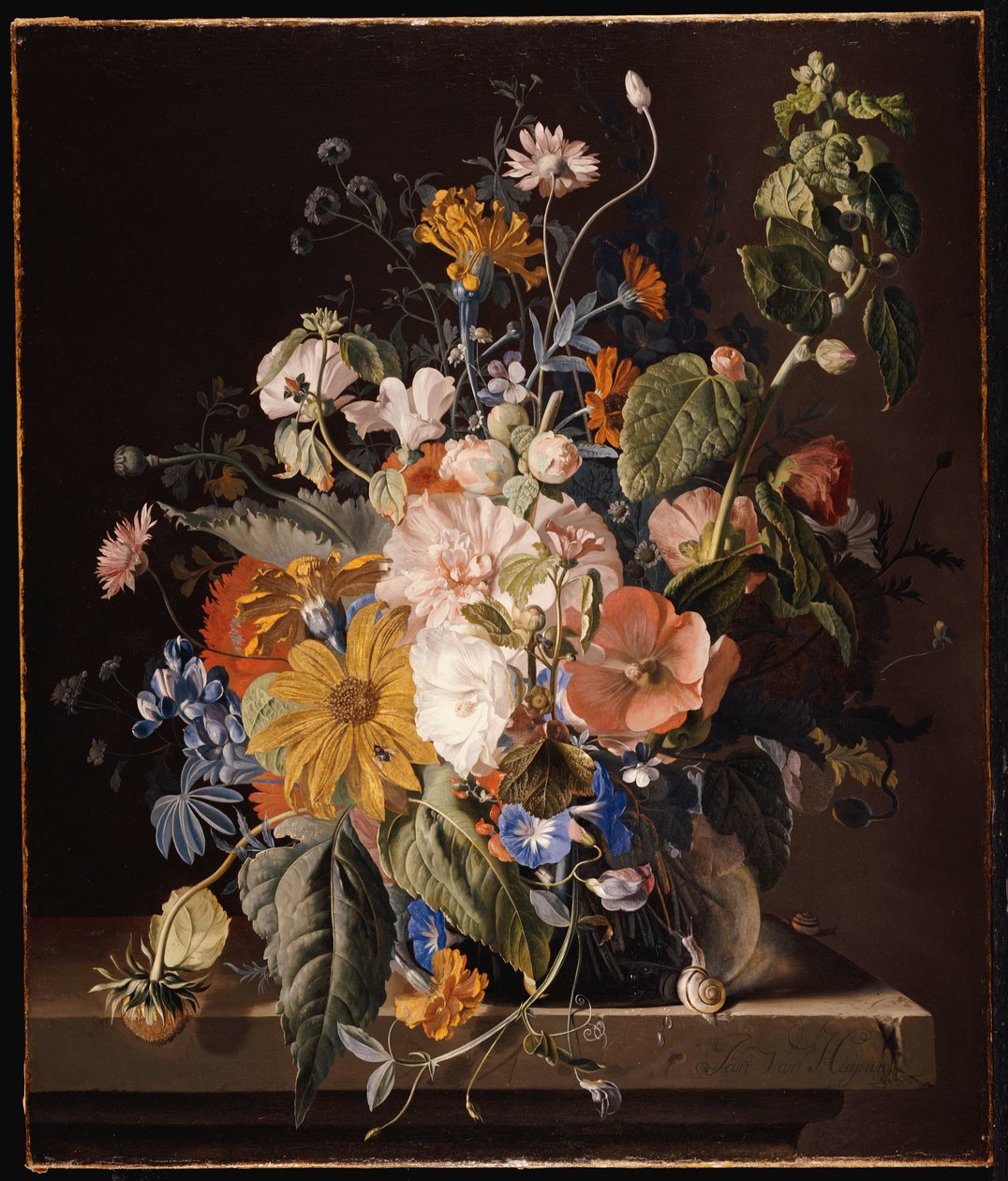 Papoilas, Hollyhock, corriola, viola, margaridas, ervilha doce, malmequeres e outras flores em um vaso com um caracol na borda de Jan van Huysum