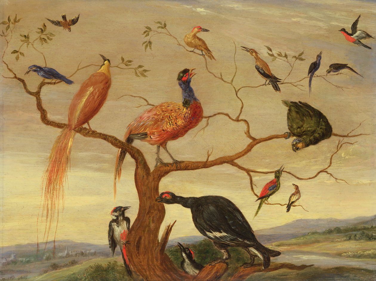 Um Concerto de Aves (painel de óleo sobre cobre) de Jan van Kessel the Elder