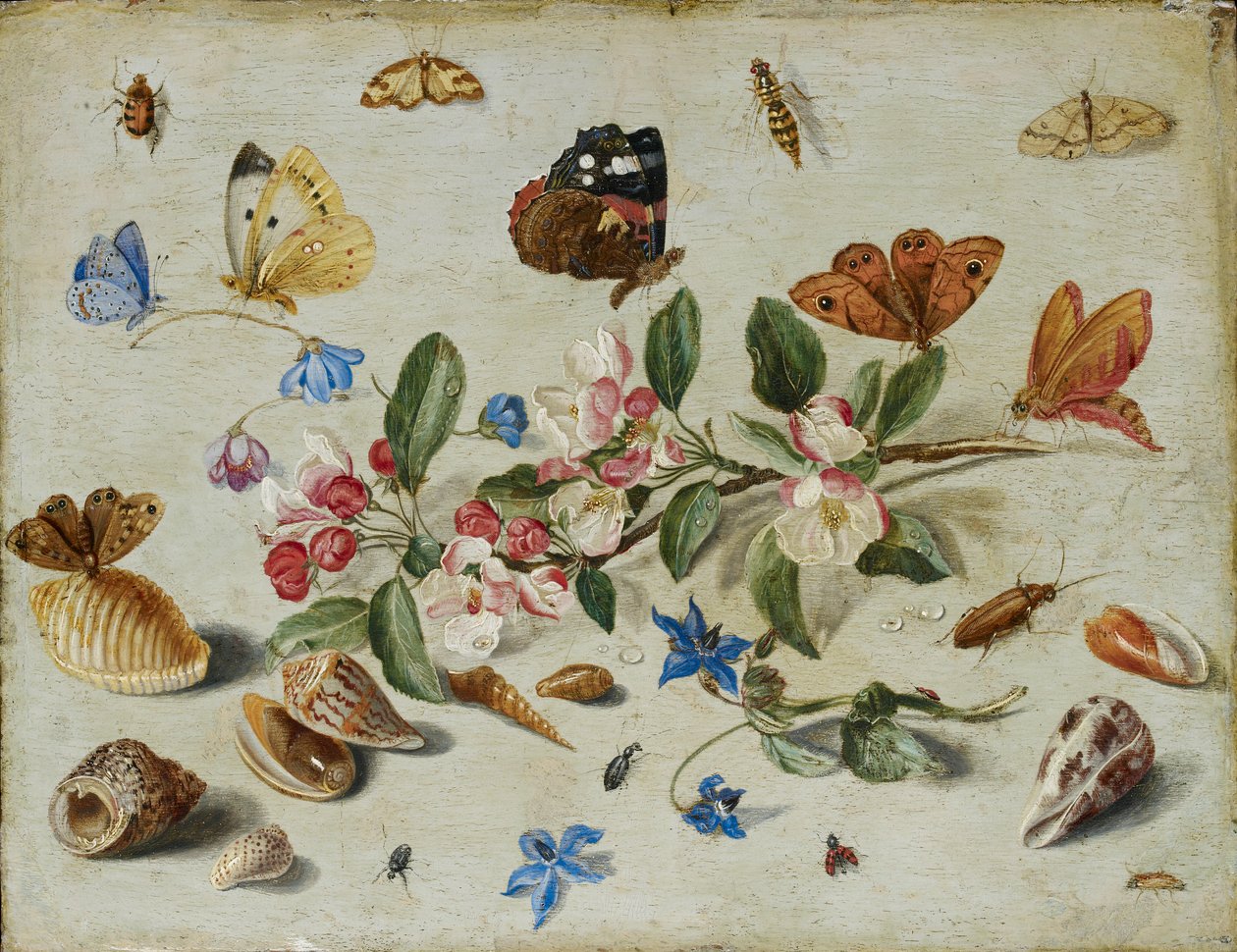 Flores e insetos, final da década de 1650 ou início da década de 1660 de Jan van Kessel