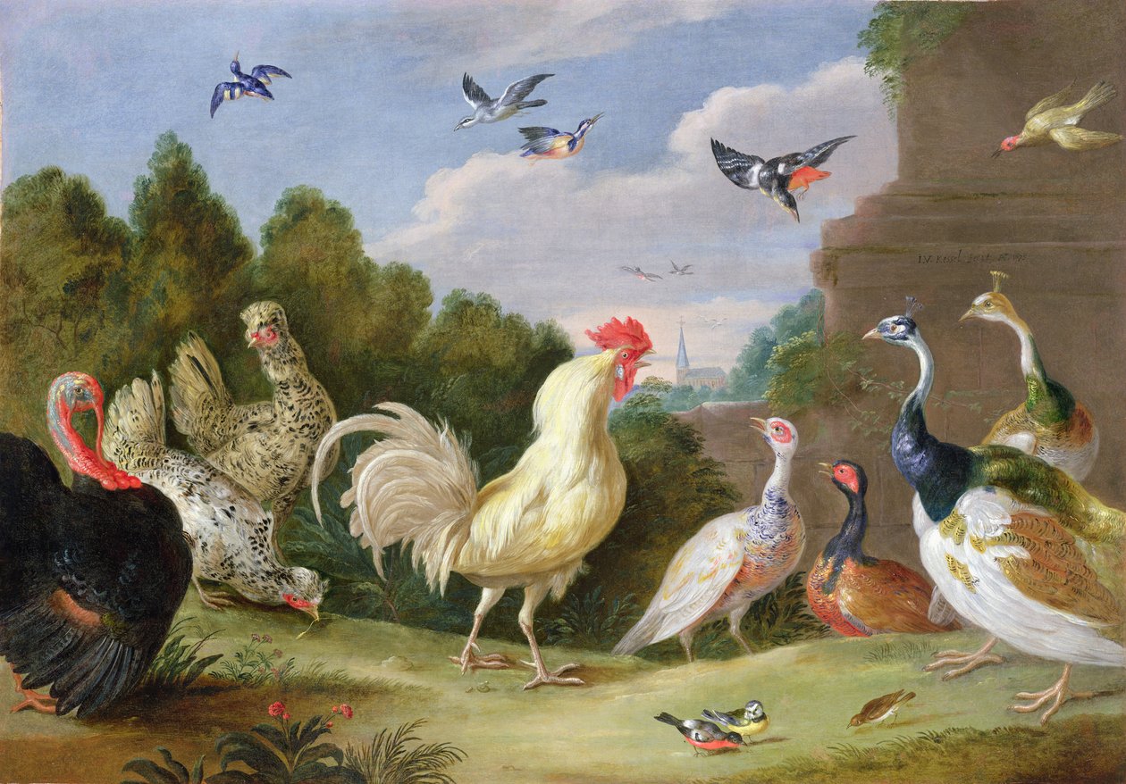 Paisagem arborizada com um galo, Turquia, galinhas e outras aves, do século XVII de Jan van Kessel the Elder