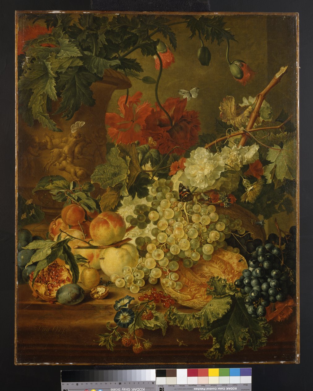 M.66 Fruit and Flowers, depois de J. van Huysum de Jan van Os