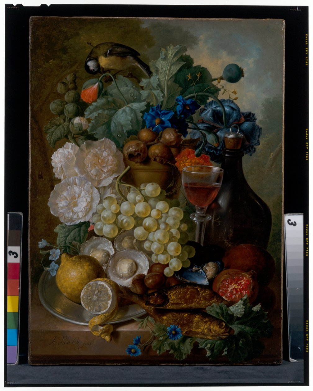 Natureza morta, c.século XVIII (óleo sobre tela) de Jan van Os